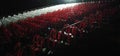 Red and white plastic chairs arranged in rows for watching the show Royalty Free Stock Photo