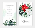 Red and white poinsettia flowers, christmas greenery, emerald eucalyptus