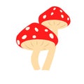 Red and white polkadots mushroom fungus vector illustration