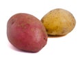Red and white potato