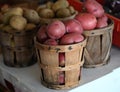 Red and White Potatoes Royalty Free Stock Photo