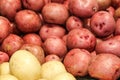 Red and White Potatoes in the Market Royalty Free Stock Photo