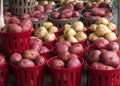 Red & White Potatoes for Sale Royalty Free Stock Photo
