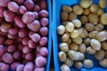 Red and White Potatoes for Sale at a Farmers Market Royalty Free Stock Photo