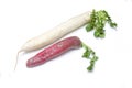Red and white radishes Royalty Free Stock Photo