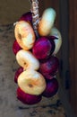 Red and white raw onions in rustic style Royalty Free Stock Photo