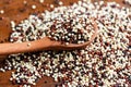 Red and white raw quinoa Royalty Free Stock Photo