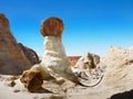 Desert landscape Escalante Utah USA Royalty Free Stock Photo