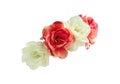 Red White Rose Flower Crown side view isolated on white background with clipping paths Royalty Free Stock Photo