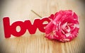 Red-white rose and scattered flower petals and the word love on