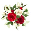 Red and white roses and lisianthus flowers. Vector illustration. Royalty Free Stock Photo