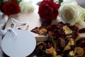 White and red roses, dried petals with blank tag label paper for your notes on a gift of a book on messy table.  Still life. Royalty Free Stock Photo