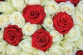 Red and white roses in a wedding arrangement Royalty Free Stock Photo