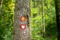 Red and white round hiking trail sign symbol