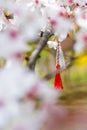 Red and white string know as martisor romanian eastern european first of march tradition hanging on a blossom cherry branch