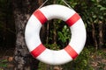 red and white striped life buoy ring Royalty Free Stock Photo