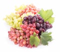 Red and white table grapes, wine grapes. Royalty Free Stock Photo