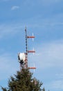 Red and white telecommunication antenna mast or mobile tower and spruce tree Royalty Free Stock Photo