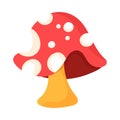 Red And White Toadstool Flat