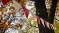 Red and white triangular bunting hanging against a background of bright yellow autumn foliage and sky Royalty Free Stock Photo