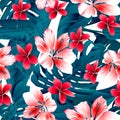 Red and white tropical hibiscus flowers seamless pattern Royalty Free Stock Photo