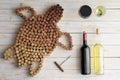 Red and white wine and cork turtle Royalty Free Stock Photo