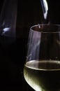 Red and white wine in glasses, dark background, low key, selective focus Royalty Free Stock Photo
