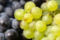 Red and white wine grapes background Royalty Free Stock Photo