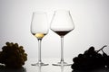 Red, white wine in stemware with dark grapes. Royalty Free Stock Photo