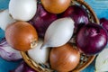 Red, white and yellow onions in a wicker basket close-up view from above Royalty Free Stock Photo