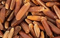 Red wholegrain rice under microscope, image width 18mm Royalty Free Stock Photo