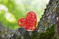 Red wicker heart between the tree trunks against the green bokeh background. Environmental protection and love of nature concept.