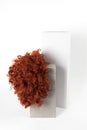 Red wig cinder block Royalty Free Stock Photo