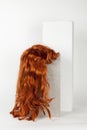 Red long wig cinder block Royalty Free Stock Photo