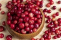 Red wild cranberries covered with drops of water Royalty Free Stock Photo