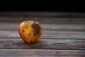 Red wilted rotten apple on a table. Bacteria infected rotten fruit