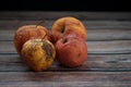 Red wilted rotten apples on a table. Bacteria infected rotten fruit