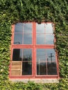 Red window with plant