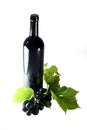 Red Wine Royalty Free Stock Photo