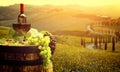 Red wine with barrel on vineyard in green Tuscany, Italy Royalty Free Stock Photo