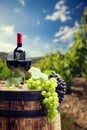 Red wine with barrel on vineyard in green Tuscany, Italy Royalty Free Stock Photo