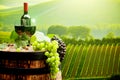 Red wine with barrel on vineyard in green Tuscany, Royalty Free Stock Photo