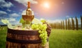 Red wine with barrel on vineyard in green Tuscany Royalty Free Stock Photo