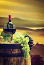 Red wine with barrel on vineyard in green Tuscany Royalty Free Stock Photo