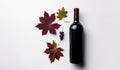 red wine bottle with autumn leaves on a white background Royalty Free Stock Photo