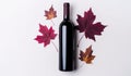 red wine bottle with autumn leaves on a white background Royalty Free Stock Photo