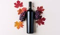 red wine bottle with autumn leaves on a white background Royalty Free Stock Photo