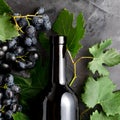 Red wine bottle, black grapes,grape bunches with leaves and vine on dark rustic concrete background. Flat lay wine composition on
