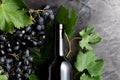 Red wine bottle, black grapes,grape bunches with leaves and vine on dark rustic concrete background. Flat lay wine composition on