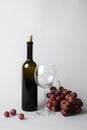 Red wine in a bottle, wine glass and red grapes over white background, isolated on white. Royalty Free Stock Photo